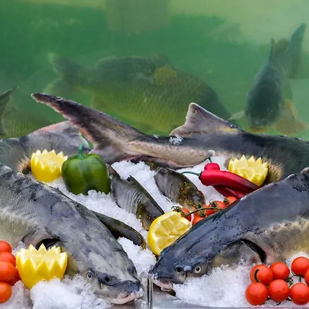 Hotell Raya Garden - Park & Winery Veliko Tărnovo