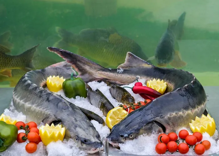 מלון Raya Garden - Park & Winery וליקו טורנובו